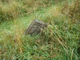 image of grave number 355190